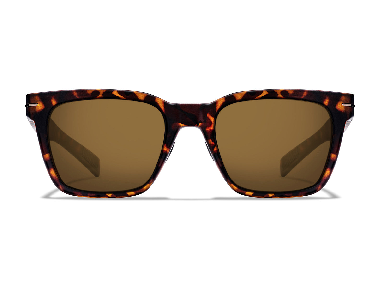 Havana - Polarized Gloss Clear Frame Sunglasses